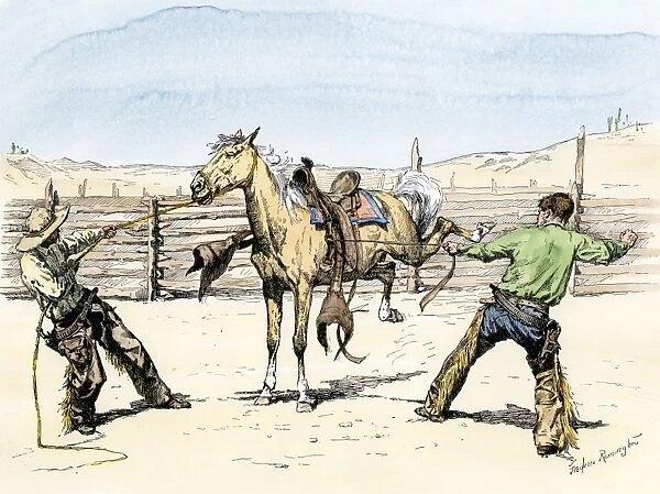 Cowboys saddling a bronco, 1800s