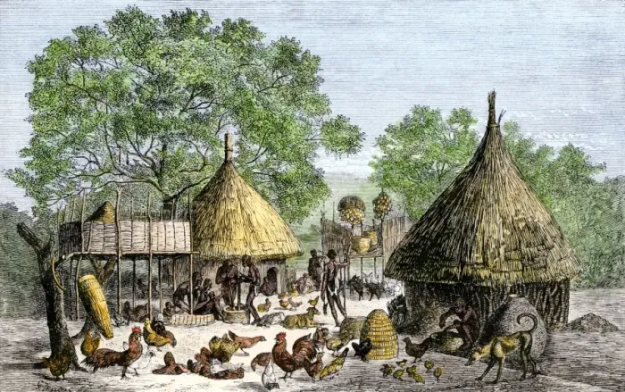 Framed Print : Daily life in an African village in the Congo basin Framed Print : Daily life in an African village in the Congo basin