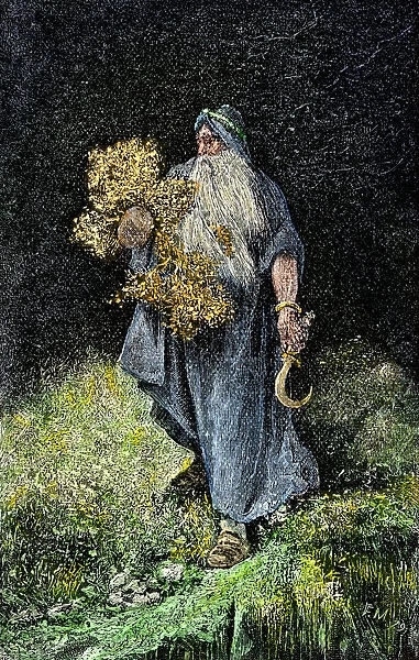 Druid carrying mistletoe