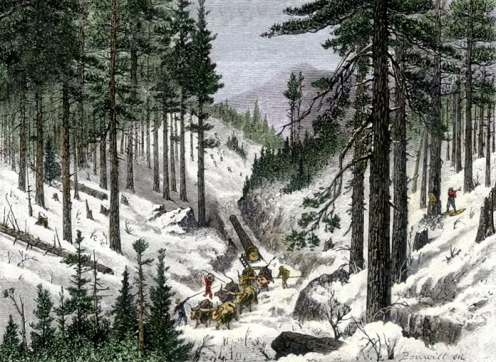 Framed Print : Early logging in the White Mountains of Maine or New Hampshire Framed Print : Early logging in the White Mountains of Maine or New Hampshire