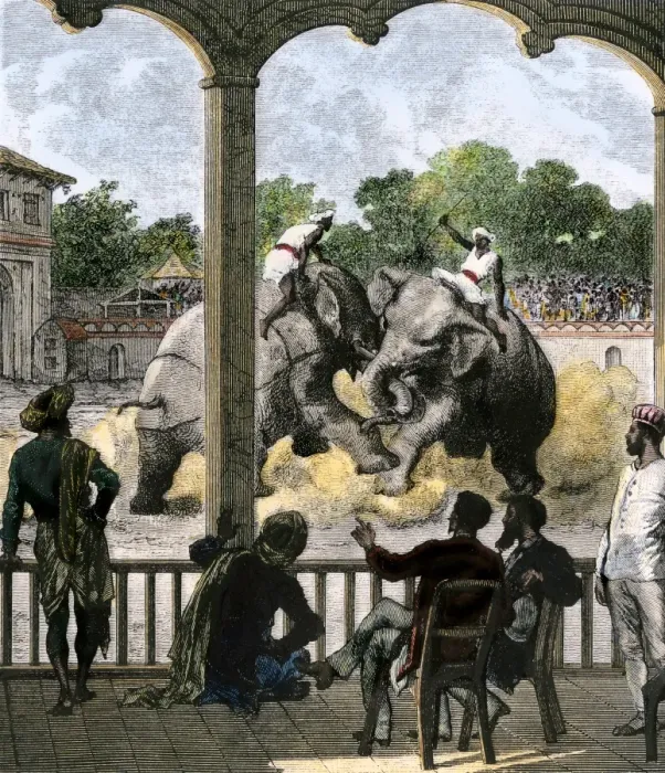 Framed Print : Elephant-fight for sport in British colonial India Framed Print : Elephant-fight for sport in British colonial India