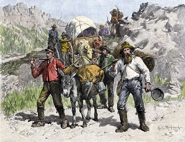 EVNT2A-00077. Prospectors looking for new diggings during the Gold Rush, 1850s.
