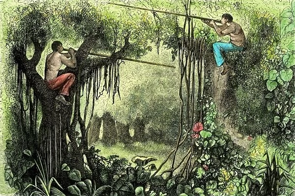 EXPL2A-00336. Brazilian natives hunting with poison blow-guns, Amazon basin.