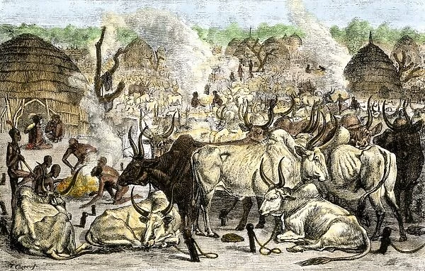 GAFR2A-00023. Cattle farm of the Dinka, a Swahili-speaking people in Africa, 1800s.