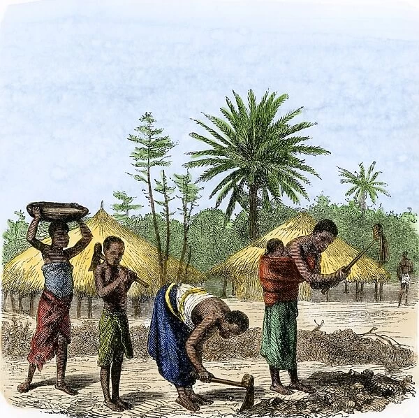 GAFR2A-00024. Women planting crops in central Africa, 1860s.