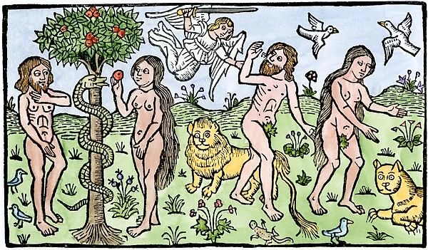 Garden of Eden. Adam and Eve in the Garden of Eden - the temptation (left) and expulsion.