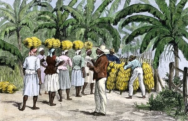 GATL2A-00022. Jamaican women carrying bananas to a seaport, 1800s.