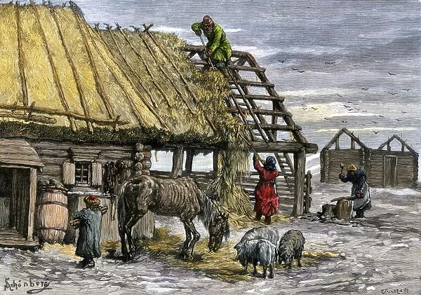 GEUR2A-00058. Russian serfs using thatch from their roofs to feed livestock