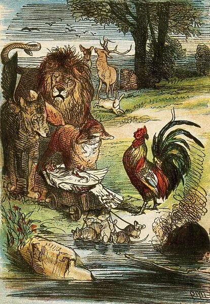 Grimms Fairy Tales illustration (Print #5878497). Framed Photos