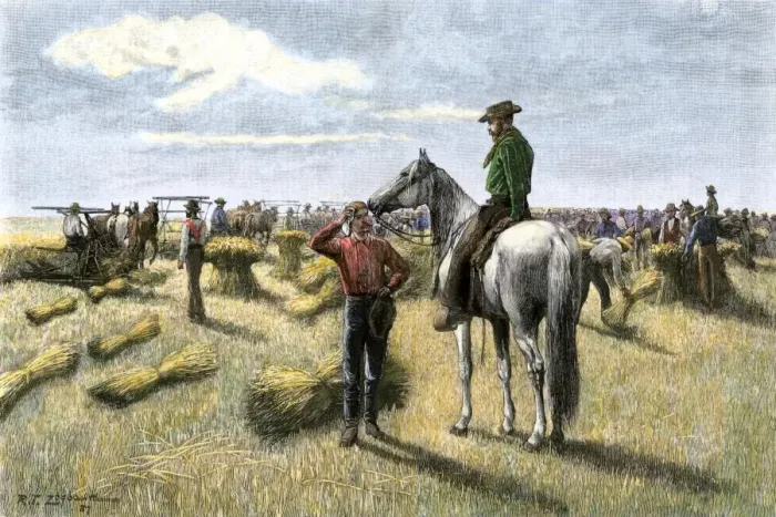 Framed Print : Harvesting wheat on a Dakota bonanza farm