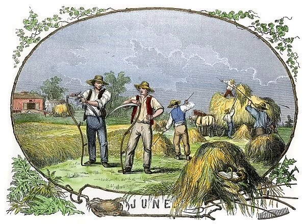 Hay harvest, 1800s. Farmers haying, a calendar illustration for June, 1850s.