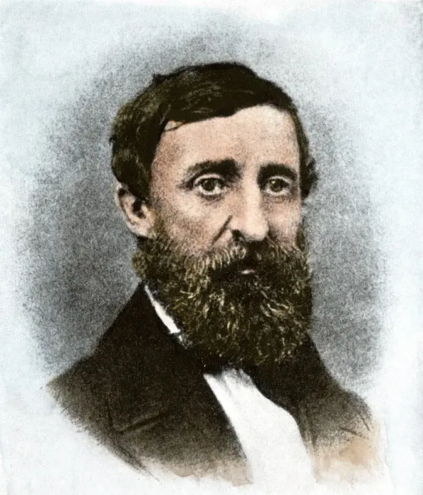 Framed Print : Henry David Thoreau at age 43 Framed Print : Henry David Thoreau at age 43