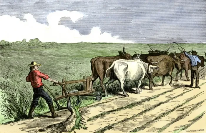 Framed Print : Homesteader plowing a western prairie Framed Print : Homesteader plowing a western prairie
