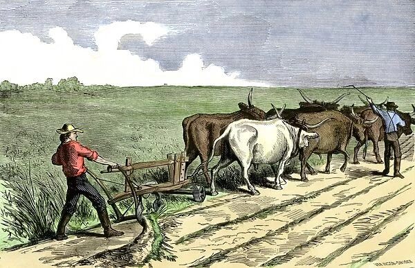 HSET2A-00037. Homesteader plowing a western prairie, 1800s.