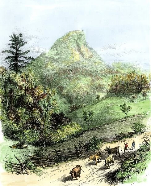 HSET2A-00085. Pioneer children bringing the cows home, southern Appalachians.