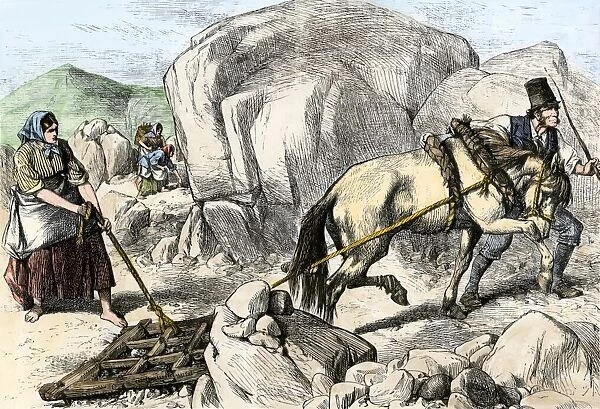 Irish farmers harrowing poor soil, 1800s