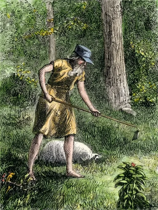 Framed Print : Johnny Appleseed planting apple trees in the Ohio wilderness Framed Print : Johnny Appleseed planting apple trees in the Ohio wilderness