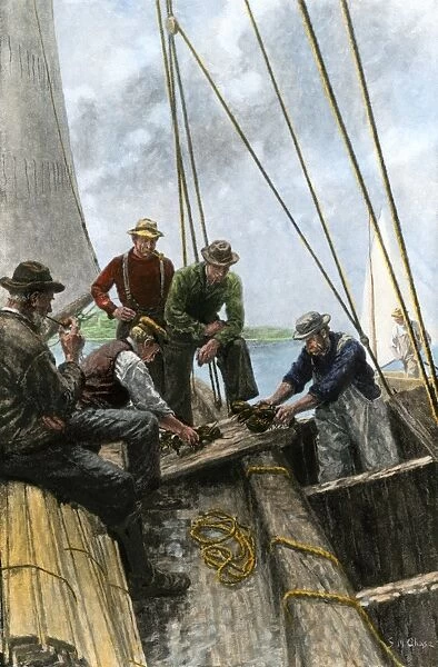 Maine lobster catch, early 1900s