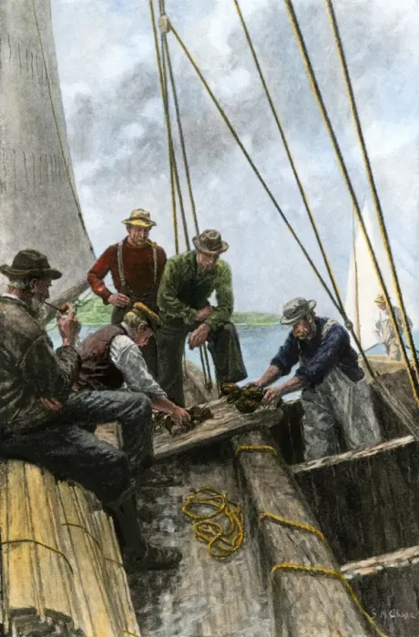 Framed Print : Maine lobster catch, early 1900s Framed Print : Maine lobster catch, early 1900s