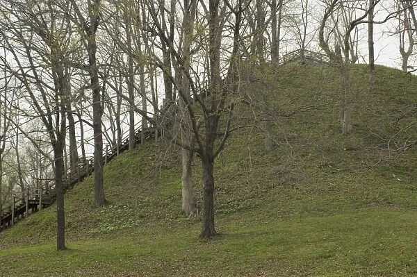 Moundbuilders site in Tennessee