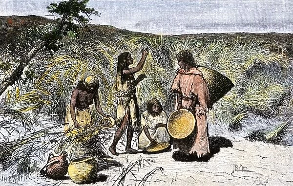 NATI2A-00042. Native American women gathering wild rice in baskets.