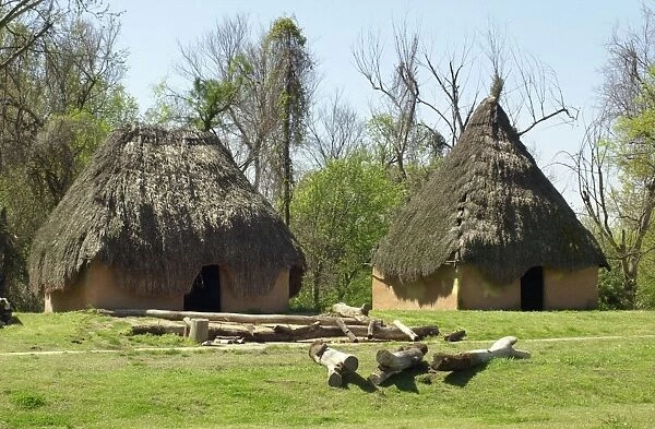 NATI2D-00283. Thatched dwellings in Chucalissa Village