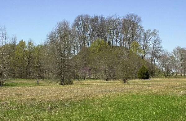 NATI2D-00287. Saul's Mound, 72 feet high, one of the Pinson Mounds
