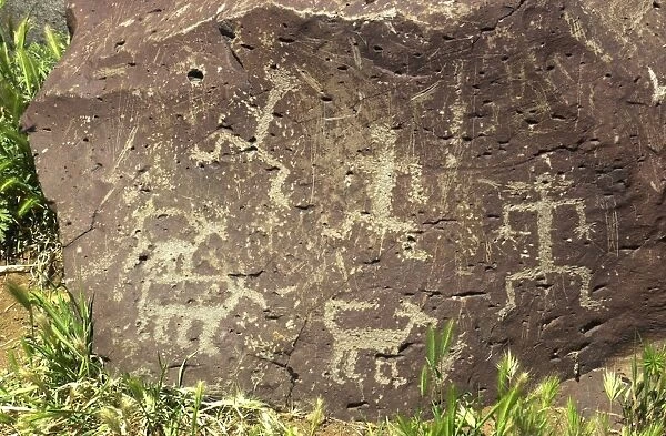 NATI2D-00366. Petroglyphs of human and animal figures on a basalt boulder