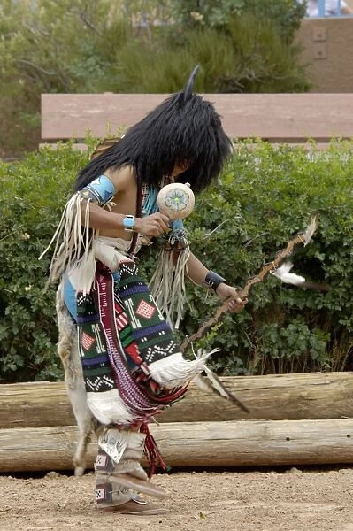 NATI2D-00419. Buffalo Dance performed by a Zuni Pueblo Red-tailed Hawk