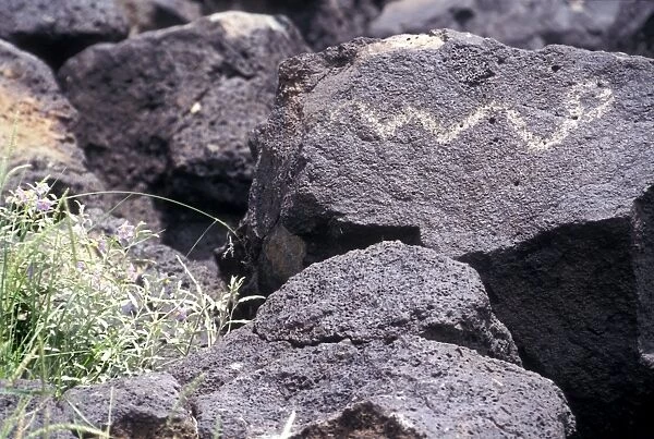 NATI2P-00493. Petroglyph of a snake inscribed in basalt