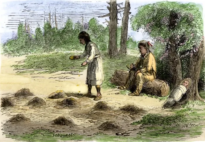 Framed Print : Native American family planting maize in hills Framed Print : Native American family planting maize in hills