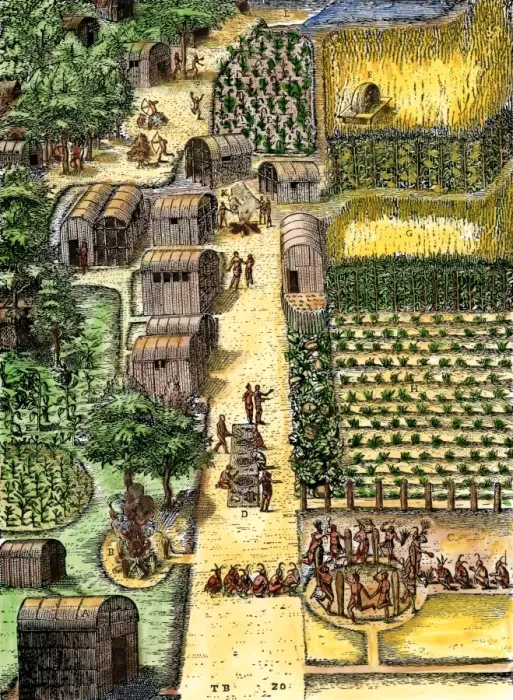 Framed Print : Native American village and gardens of Secotan Framed Print : Native American village and gardens of Secotan