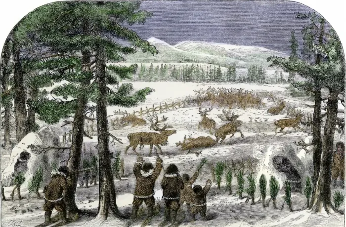 Framed Print : Native Americans herding reindeer in Alaksa Framed Print : Native Americans herding reindeer in Alaksa