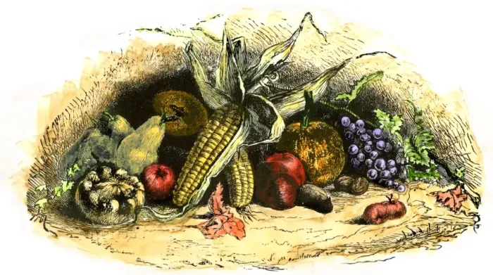 Framed Print : Some New World crops, including maize