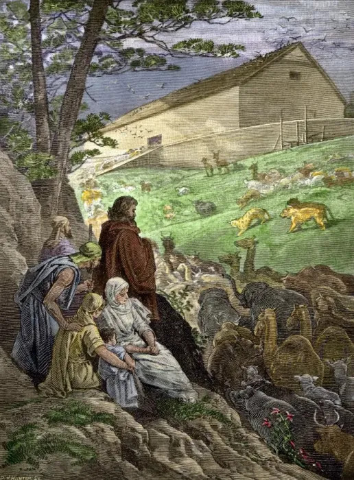Framed Print : Noahs Ark. Animals entering Noahs ark before the Biblical flood. Framed Print : Noahs Ark. Animals entering Noahs ark before the Biblical flood.