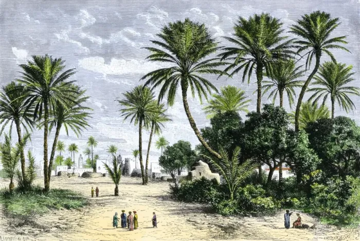 Framed Print : Oasis of Gafsa in Tunisia, North Africa Framed Print : Oasis of Gafsa in Tunisia, North Africa