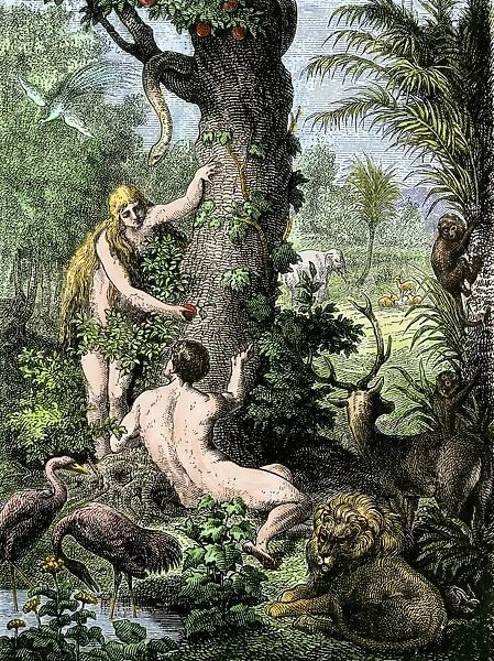 PBIB2A-00018. Adam and Eve in the Garden of Eden.