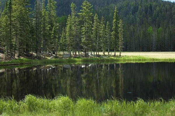 Pecos Wilderness lake, New Mexico