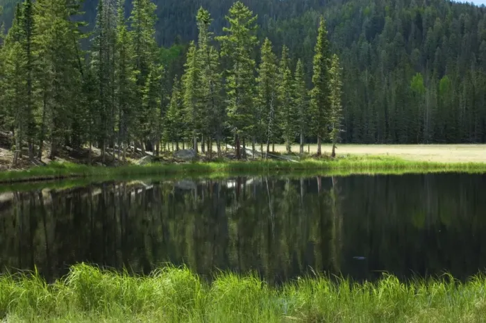Framed Print : Pecos Wilderness lake, New Mexico Framed Print : Pecos Wilderness lake, New Mexico
