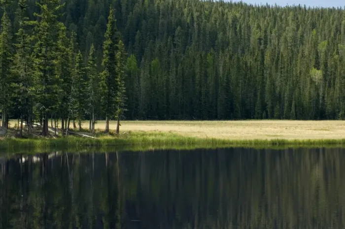 Framed Print : Pecos Wilderness lake, New Mexico
