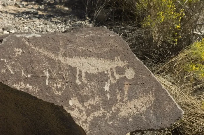 Framed Print : Petroglyph near Albuquerque, New Mexico Framed Print : Petroglyph near Albuquerque, New Mexico