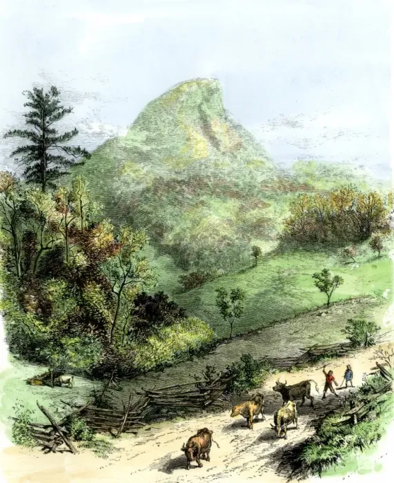 Framed Print : Pioneer children bringing the cows home