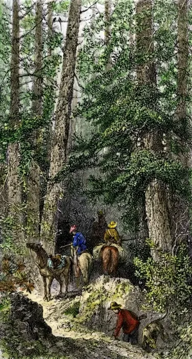 Framed Print : Pioneers entering the wilderness on horses Framed Print : Pioneers entering the wilderness on horses