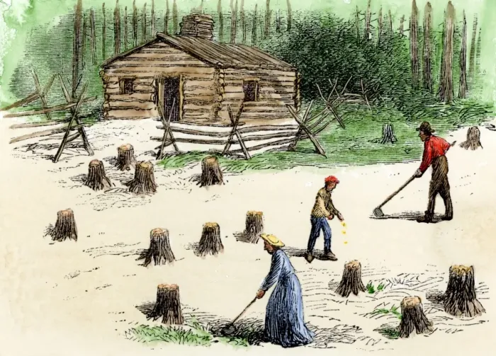 Framed Print : Pioneers planting corn on newly cleared land in the backwoods Framed Print : Pioneers planting corn on newly cleared land in the backwoods
