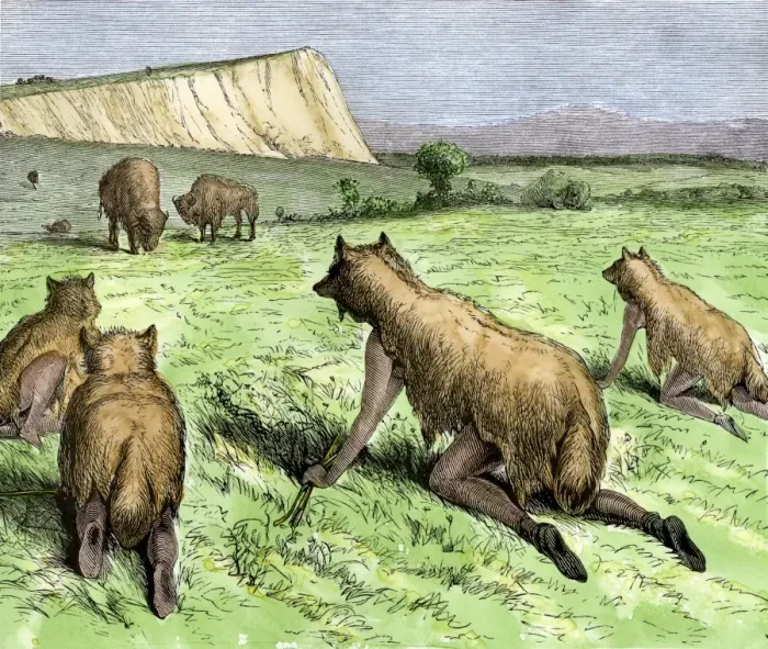 Framed Print : Plains Indians hunting buffalo by disguising themselves as wolves Framed Print : Plains Indians hunting buffalo by disguising themselves as wolves