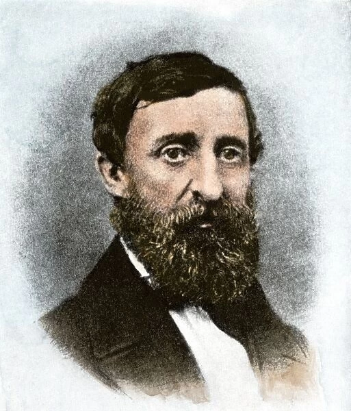PLIT2A-00061. Henry David Thoreau at age 43.