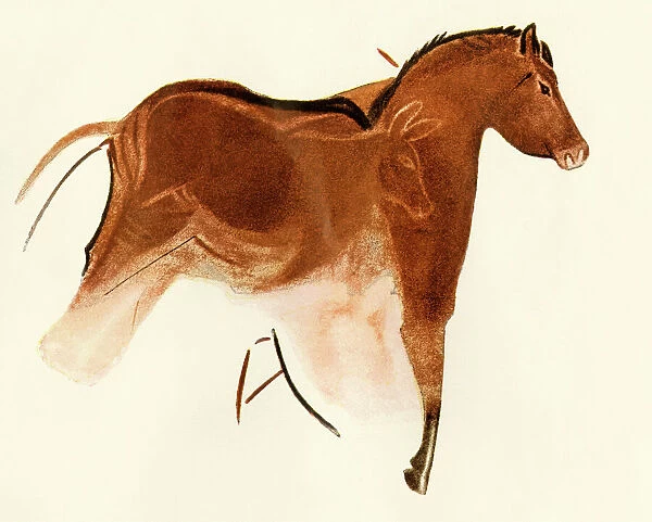 Prehistoric cave art of a horse with foal, Altamira, Spain