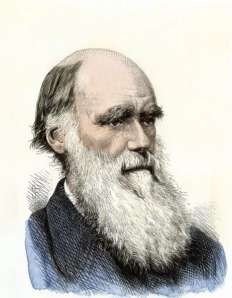PSCI2A-00006. Charles Darwin.. Hand-colored woodcut of a 19th-century portrait