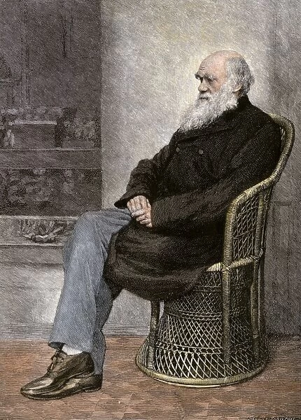 PSCI2A-00078. Charles Darwin seated in a wicker chair.