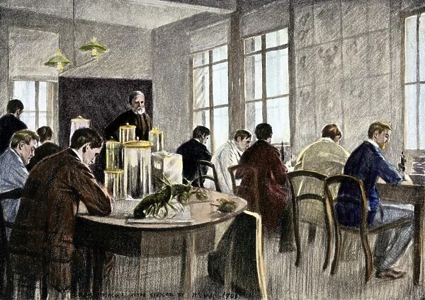 PSCI2A-00085. Ernst Haeckel teaching in his laboratory at Jena University, Germany.